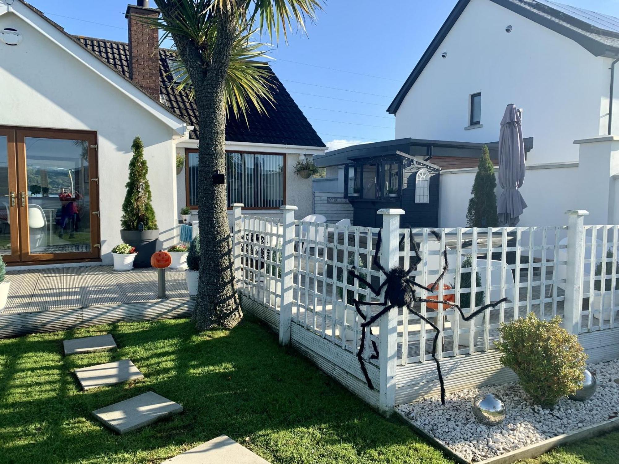 Seaview Cottage On The Island Millbay 외부 사진